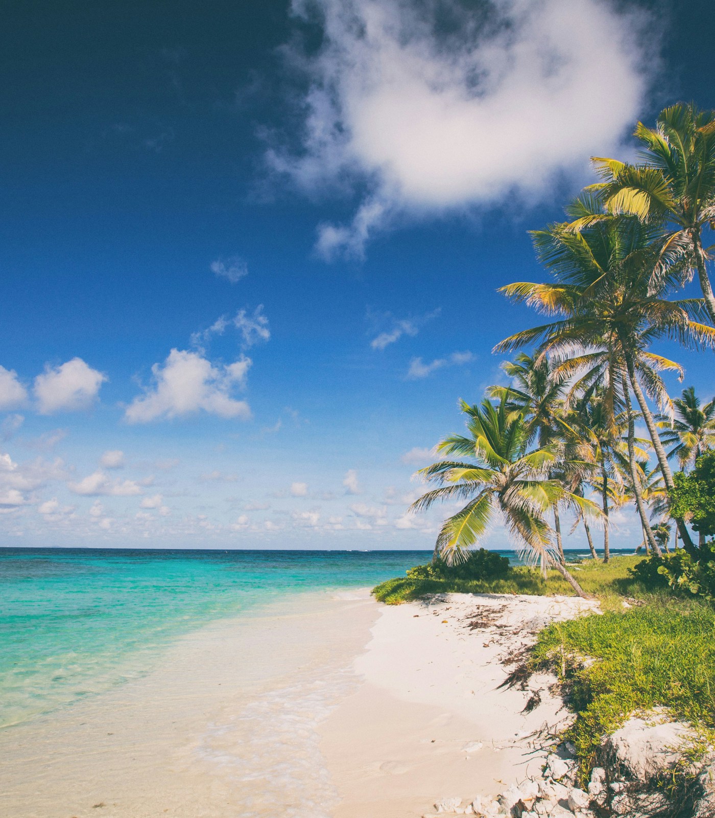 Palm trees beside a white-sand beach and turquoise sea
